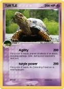 TURTLE