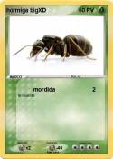 hormiga bigXD