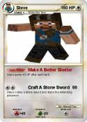 Steve
