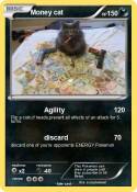 Money cat