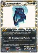 Shining Owl