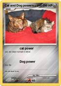 Cat and Dog