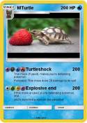 MTurtle