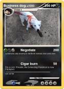 Business dog