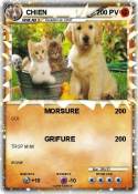CHIEN