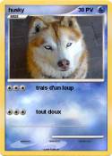 husky