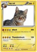 top cat