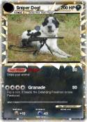 Sniper Dog!