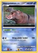 Hippopotamus