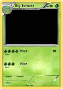 Big Tortoise