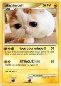 pikapika cat !