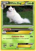 White Dog