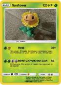 Sunflower