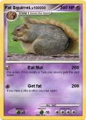 Fat Squirrel