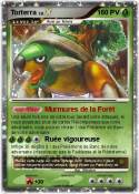 Torterra