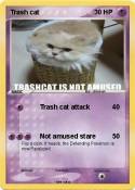 Trash cat