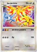 the bird trio