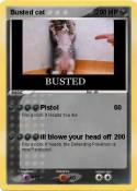 Busted cat