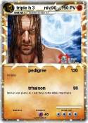 triple h 3 niv.