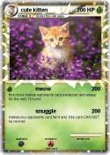 cute kitten