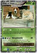Chat et Chien