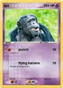 ape