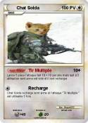 Chat Solda