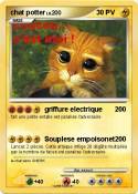 chat potter