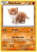 Kitten Rookie