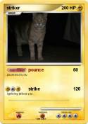 striker