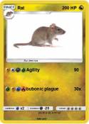 Rat