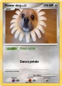 Flower dog