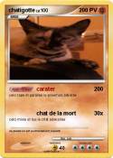 chatigotte