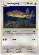 Wobbegong