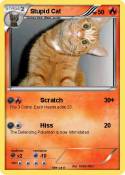 Stupid Cat