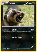 DAWG
