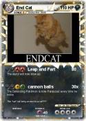 End Cat