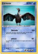 Cormorán