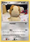FurBall