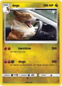 dogs