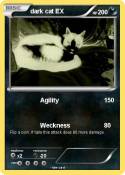 dark cat EX