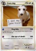 Crazy dog