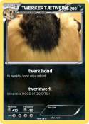 TWERKERTJETWERK