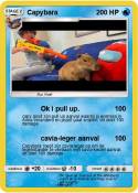 Capybara