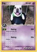 Pug