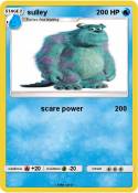 sulley
