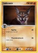 CatScratch