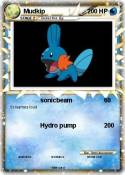 Mudkip