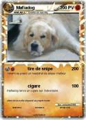 Mafiadog