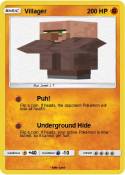 Villager